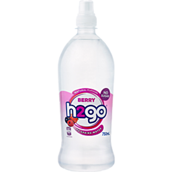 H2Go Water Berry 750ml