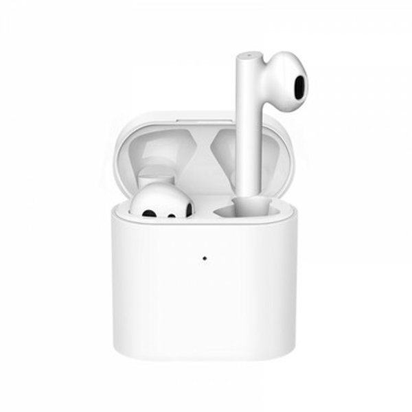 apple ipod ear plugs