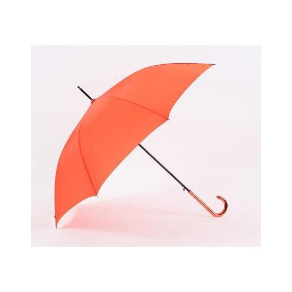 rain umbrella prices