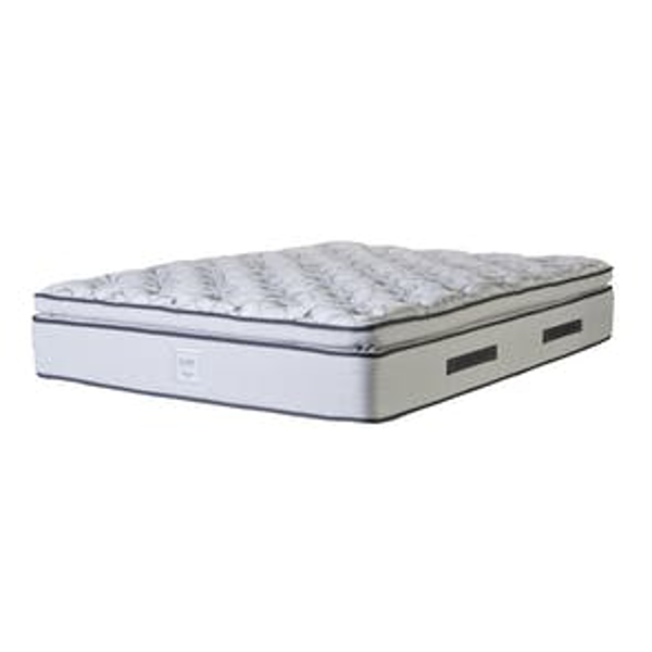 sealy melrose mattress