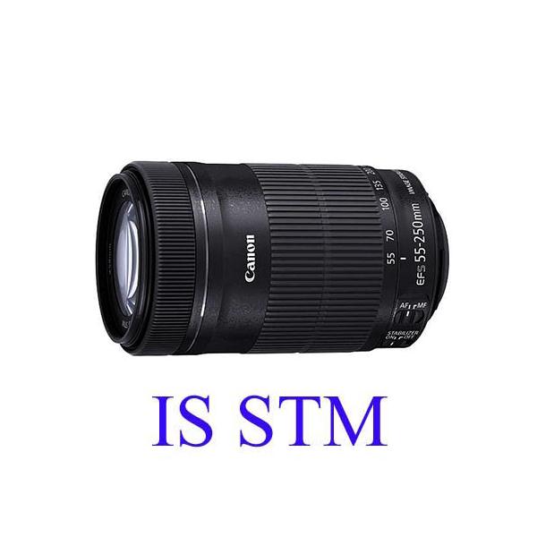 美品】Canon EF-S55-250mm F4-5.6 IS - カメラ