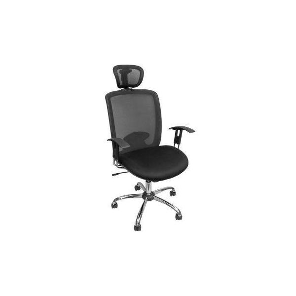 Ergodynamic EHC-129 Heavy Duty Mesh Office Chair (Black) Price in