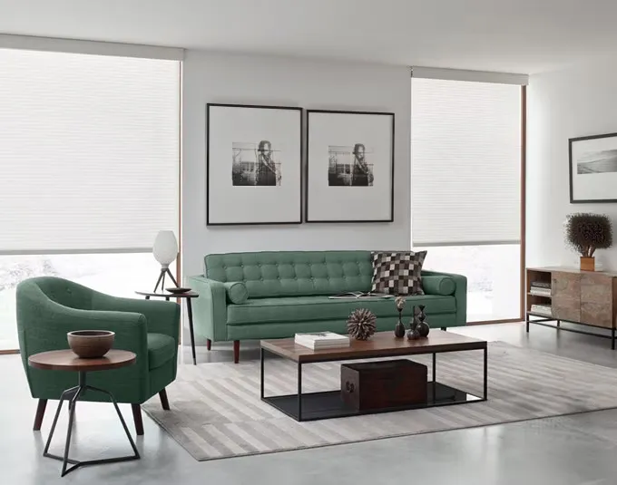 Light Filter Roller Blind.png