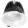 R853 Large 32 Watt LED Downlight