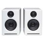 Audioengine A2+