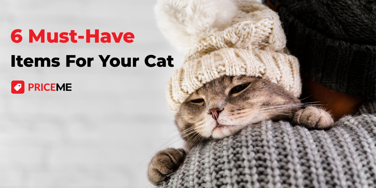 6 Must-Have Items for Your Cat