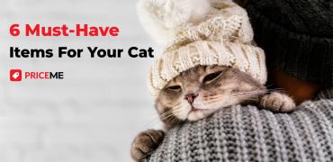 6 Must-Have Items for Your Cat